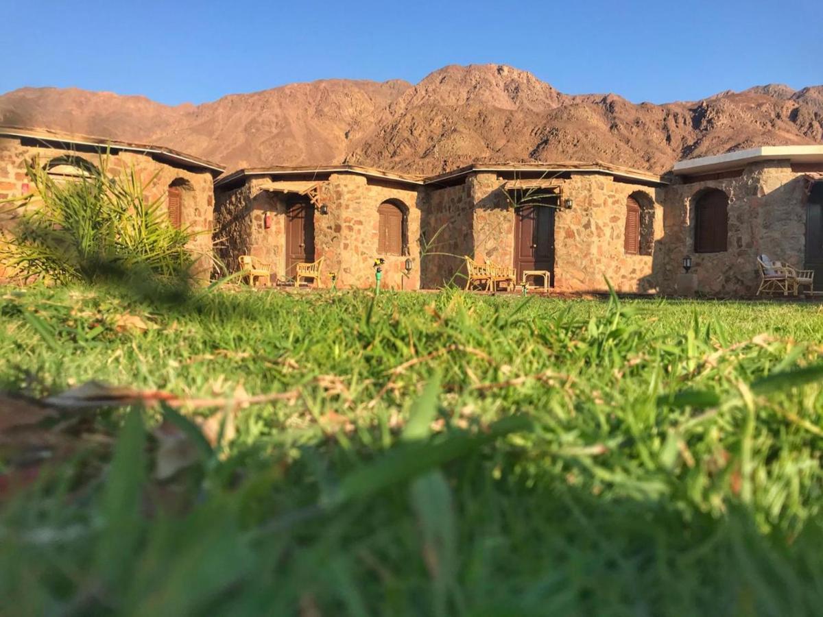 Safari Beach Nuweiba Luaran gambar