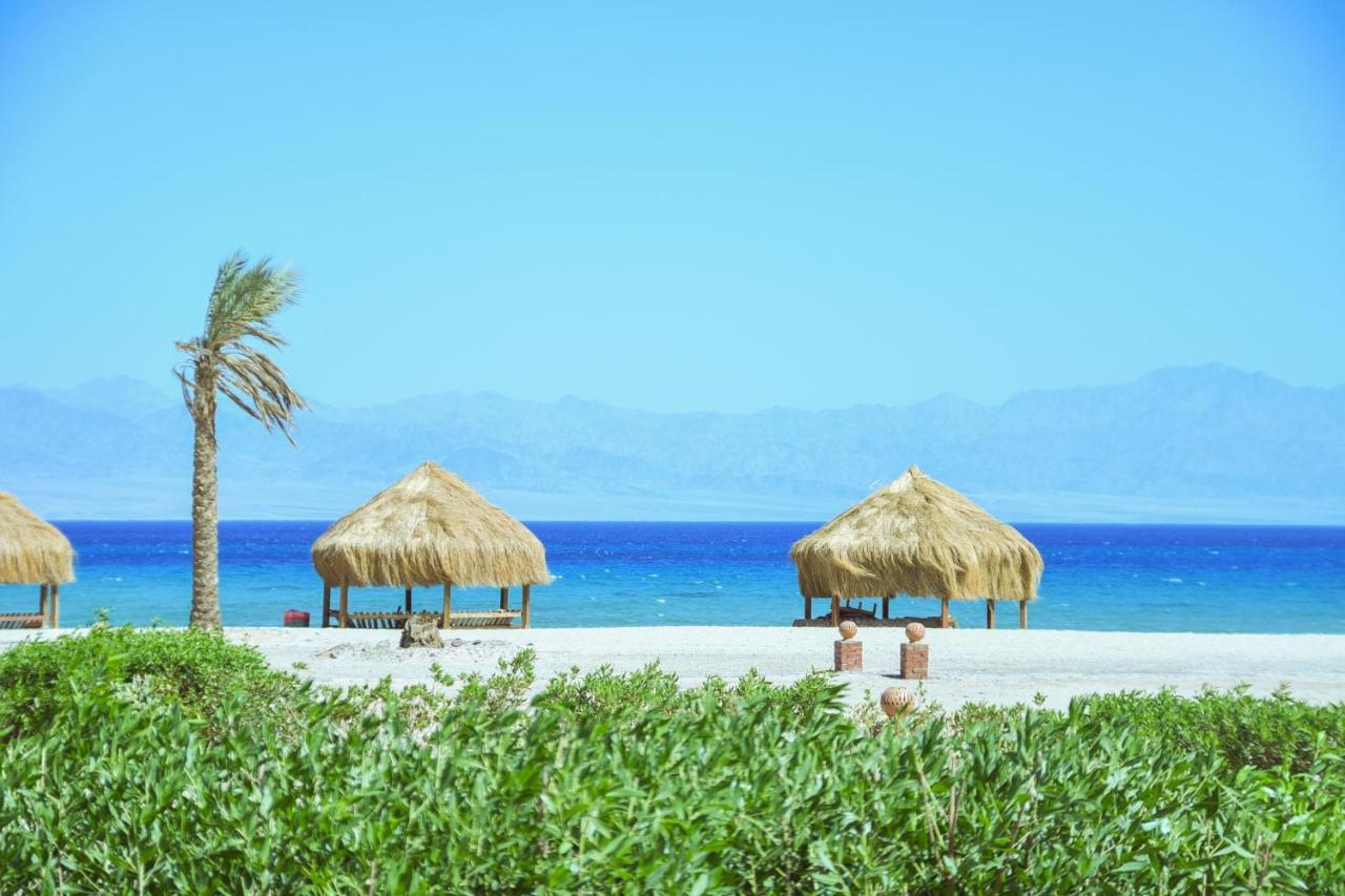 Safari Beach Nuweiba Luaran gambar